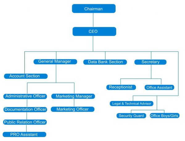 Organization Structure – Kangaroo H.R. P Ltd